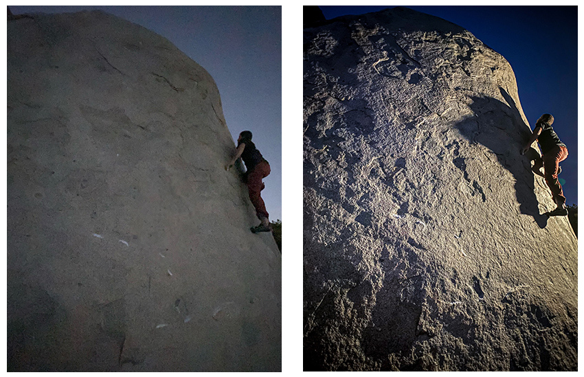 Before and after images using the Prolight LED lights. Image: SANDMARC.